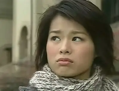 原标题:胡杏儿离开tvb感恩16年栽培 为爱暂缓工作 胡杏儿 《冲上云霄