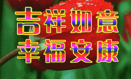 2020非常美丽的动态鲜花早上好问候语祝福语,特好看的早上好动画表情