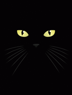 动态头像系列★【新浪微博:高清无水印iphone萌壁纸】