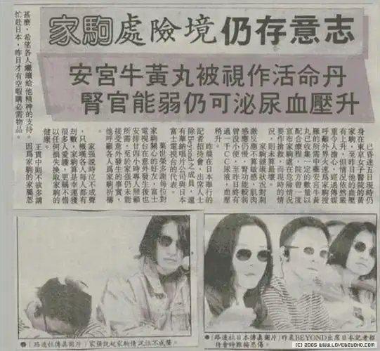 纪念家驹 - 这个杀手不太冷 - 这个杀手不太冷