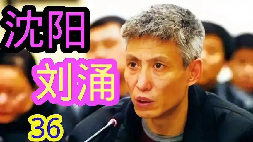 沈阳刘涌第三十六集(张凡的大奔028)-影视综视频-搜狐视频