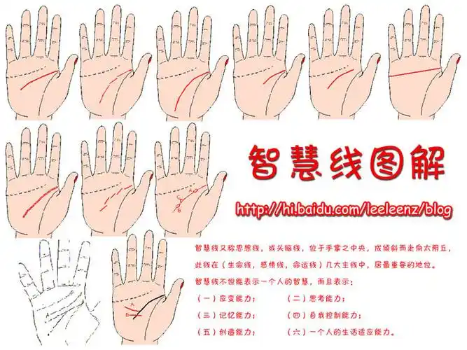 02,感情线在木星丘分为两股,而且线条清晰明显.