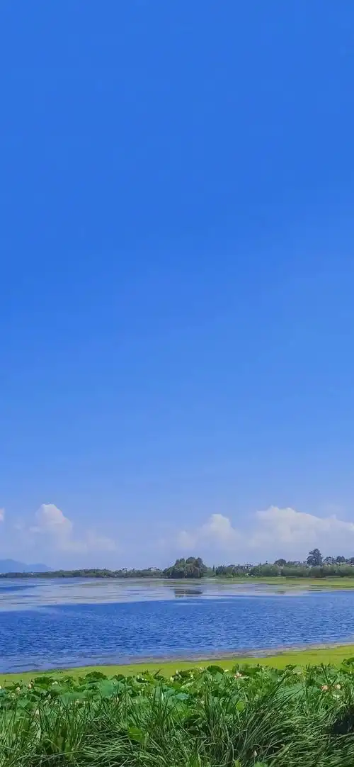 温柔系背景图朋友圈治愈系,优质温柔治愈系背景图(治愈蓝色系壁纸