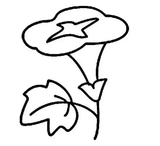 牵牛花怎么画牵牛花简笔画图片素描