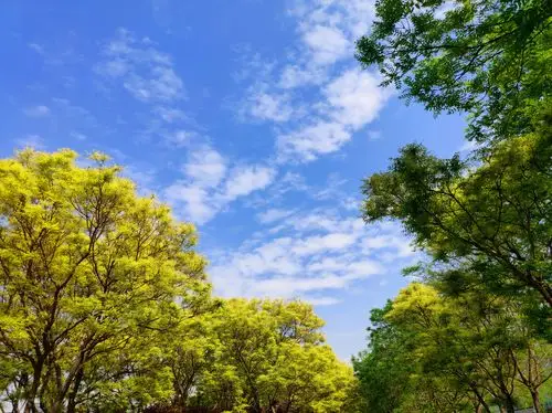 好心情看到的风景都不一样