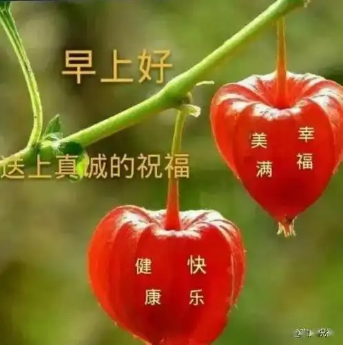 清晨群发早晨好问候语图片表情漂亮早上好问候语表情图片