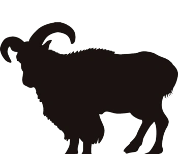 山羊剪影