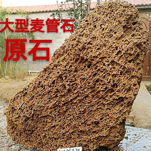 麦管石原石天然脉管石吸水石上水石假山盆景石化石奇石收藏芦管石