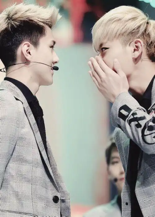 sehuntao吴世勋黄子韬