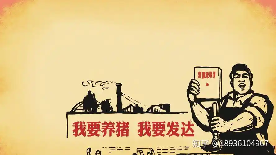 有哪些比较好玩的微信聊天背景图