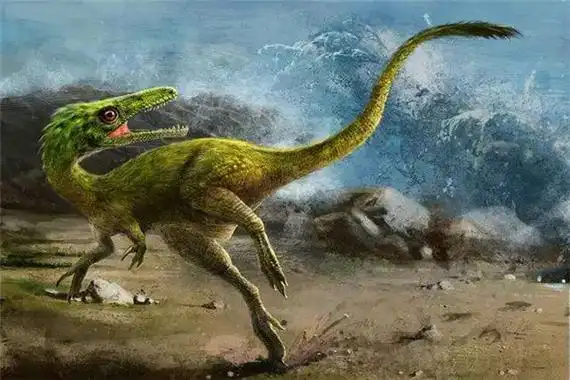 美颌龙吃什么科学家在口腔内发现完整蜥蜴