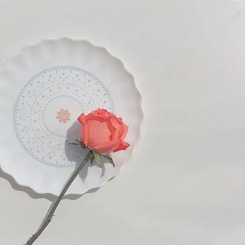 干净纯白色 ins无滤镜调色