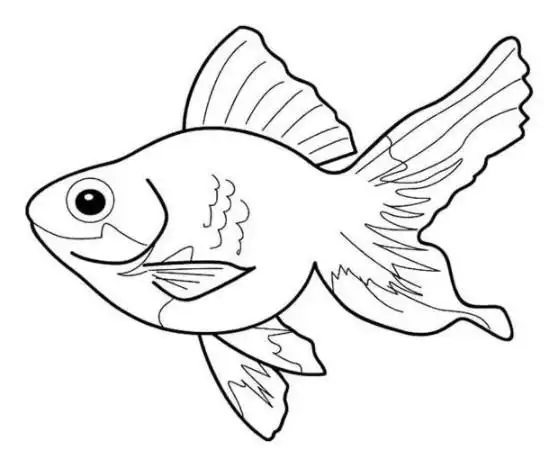 各种鱼的画法简单漂亮 鱼简笔画图片
