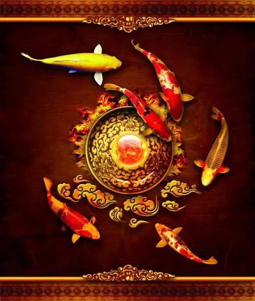 2,金鲤鱼图片大全大图