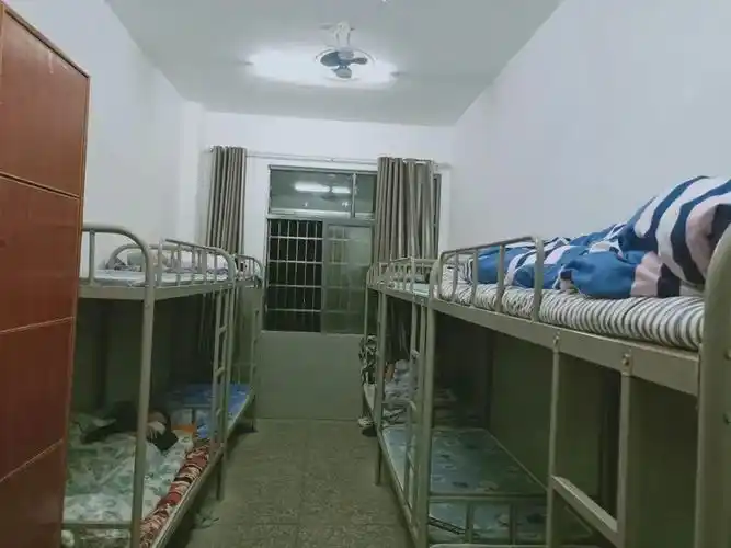 春回少年归最美四月天