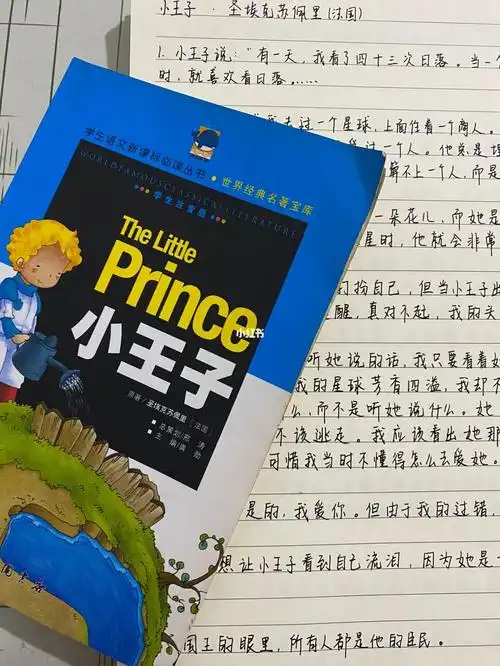 小王子～全世界最令人喜爱的一本书