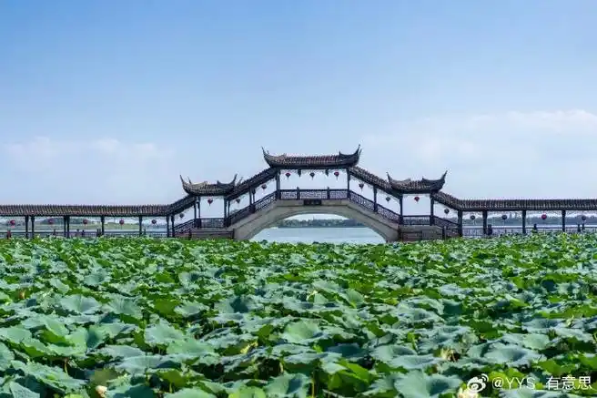 锦溪古镇#昆山·锦溪古镇