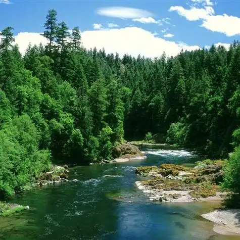 精选自然风光清新淡雅风景头像 ,蓝天白云绿色植物-唯美头像