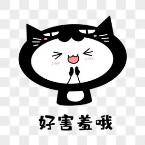 超可爱猫猫图片