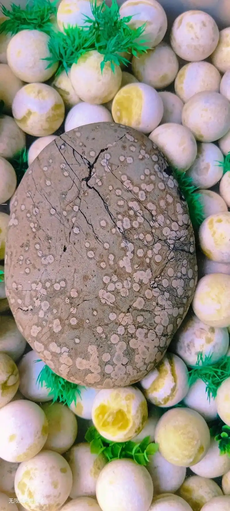 纯天然奇石 #大自然的馈赠 #美石分享 - 抖音