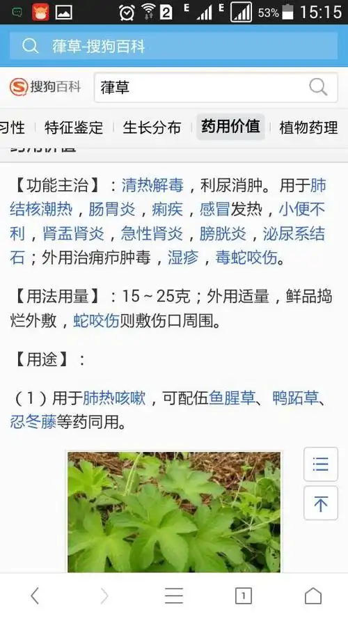 我想知道这种草叫什么!有什么药用价值?