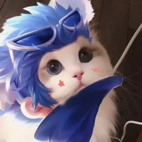 王者荣耀头像:鲁班七号猫咪接头头像,今天晚上开五黑组队上分