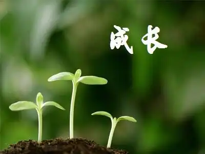 从现在开始,陪孩子一起成长