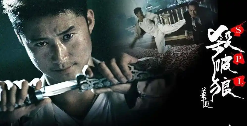 电影《杀破狼》三大顶级高手全面解读,灵活胖子王宝碾压一切_腾讯新闻