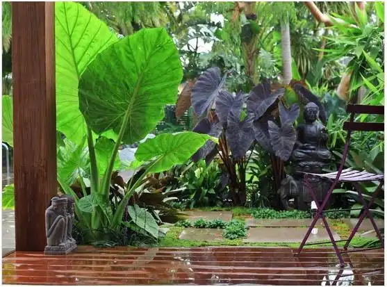 东南亚风格花园最大的特点是还原最自然的风情