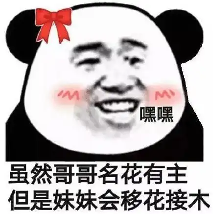 暴漫 熊猫头 虽然哥哥名花有主但是妹妹会移花接木 搞笑 逗 沙雕