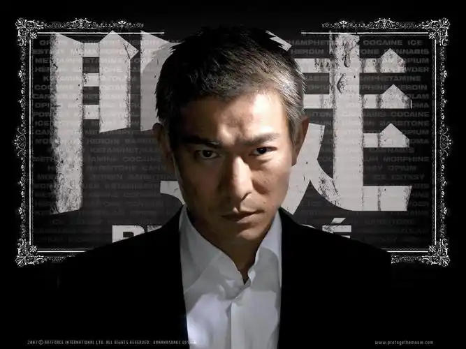 默认相册( 20张 )