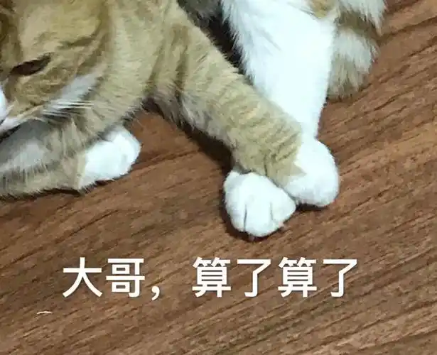 大哥算了算了算了算大哥表情