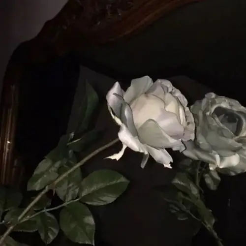 朋友圈 头像 壁纸 原宿 高冷