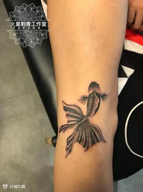 遮疤鱼_纹身图案手稿图片_煌的纹身作品集