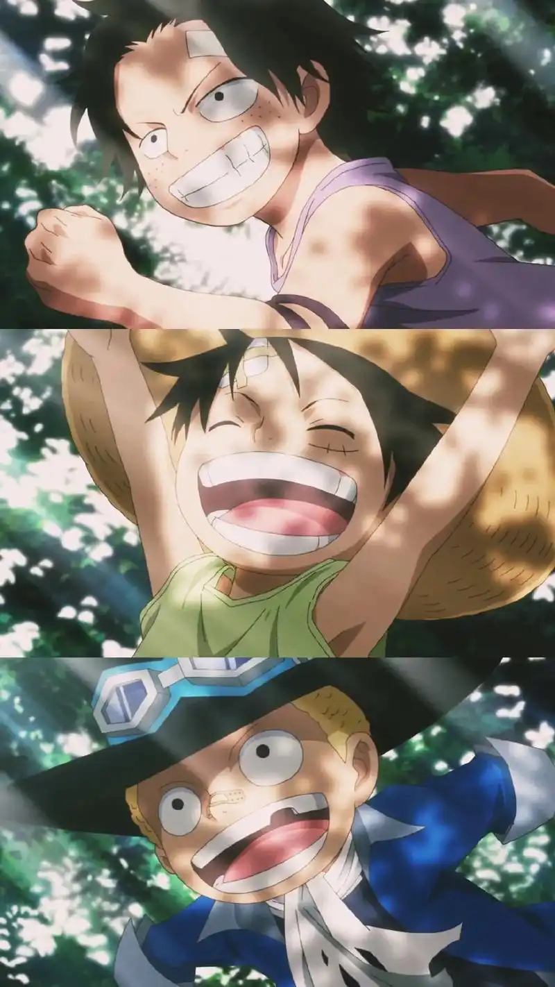 或许 你也喜欢海贼王吧#海贼王 #高清壁纸 #手机壁纸 - 抖音