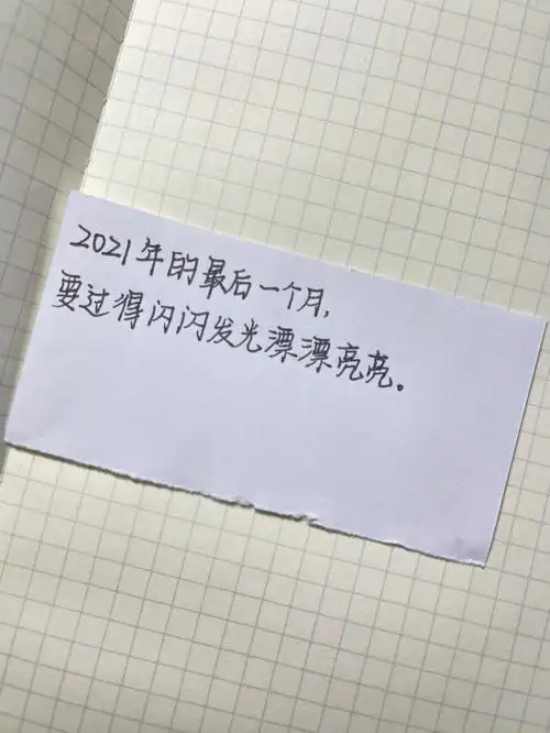 "96喜欢每个月的一号,一切都可以重新开始!#手写  #12月你好文案