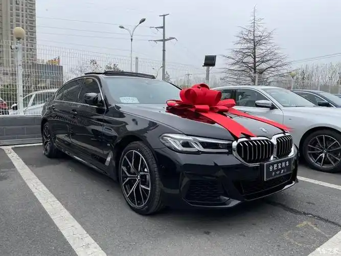 【图】530li尊享m宝石青提车,求合肥地区组织_宝马5系论坛_汽车之家