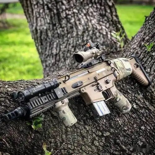 【泥色当道】比利时fn公司scar系列步枪美图欣赏_火器_视频_军事