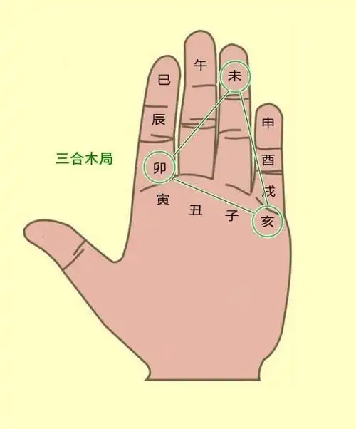 轻松记忆"地支掌",学会了一辈子受益