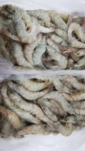 红虾,青虾整盒4.5斤
