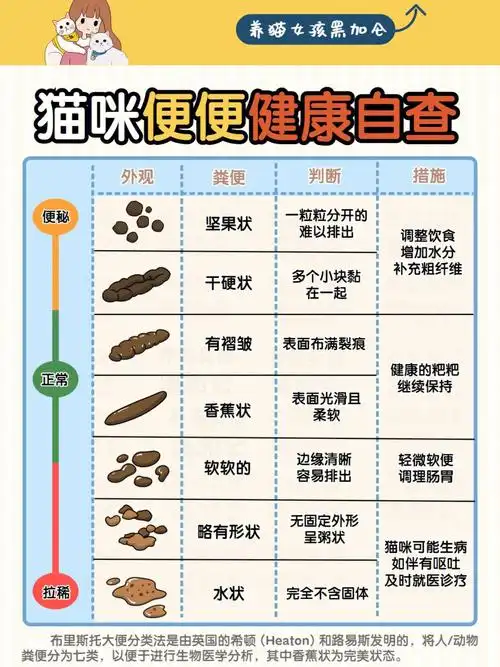 猫咪便便健康自查表新手养猫快马住60