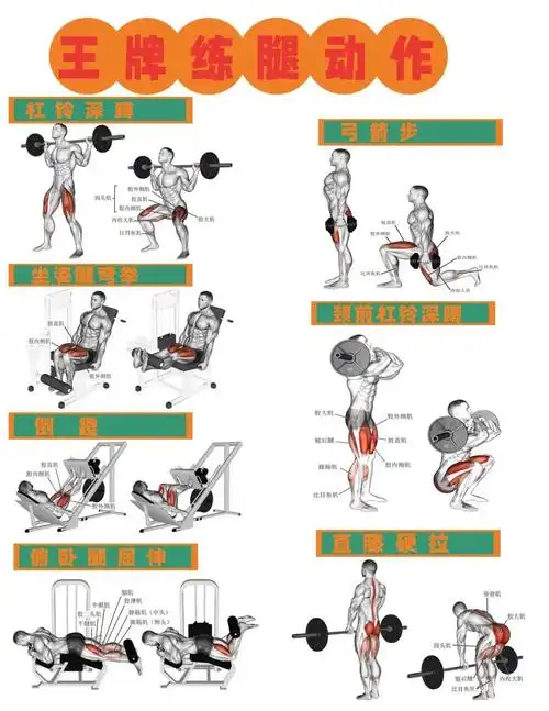 腿部训练动作来喽
