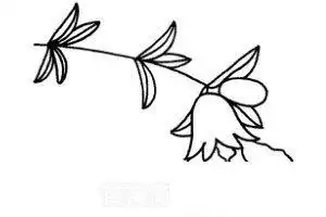 石榴花怎么画简笔画图解
