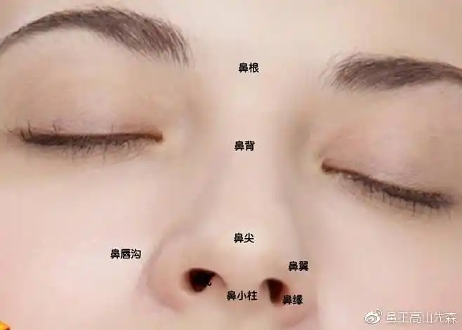 鼻子部位