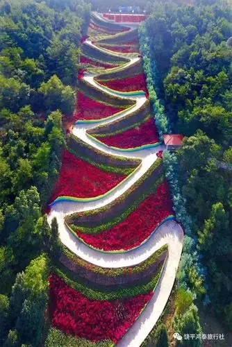 妇女节特推线路中国客家博物馆麓湖山杏花湾一天游168元逢周六日出团