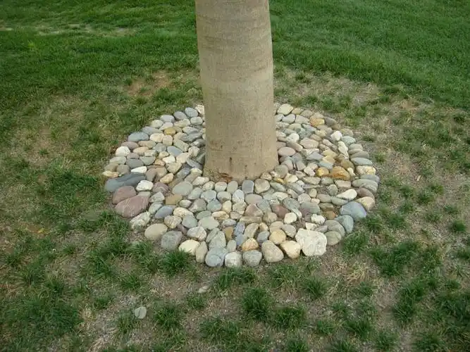 球道周边的鹅卵石树塘