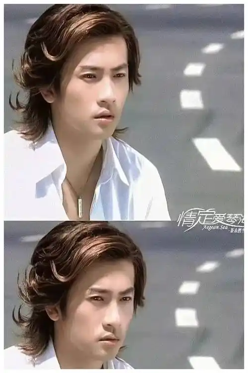 苏有朋:颜值与演技并存,不老男神的魅力所在,单身贵族之选!