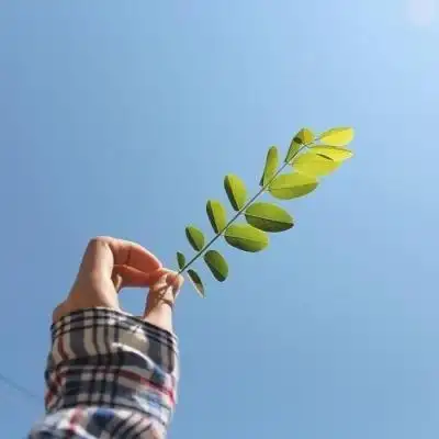 依然清晰,回忆里那些曾经有笑有泪的光阴,风景头像图片-回车桌面