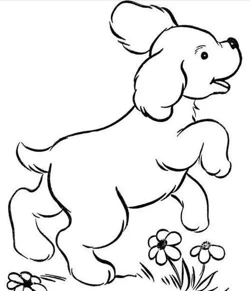 简笔画画动物可爱彩色萌呆 简笔画图片大全-蒲城教育文学网