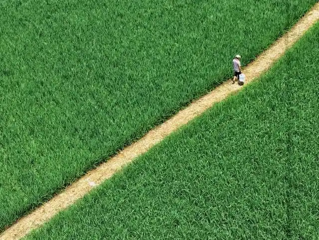 摄影大师罗伯特·杜瓦诺说过:"如果我知道如何拍出好照片,我每次都会